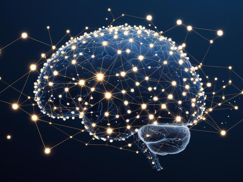 Breve defensa de la mirada&nbsp;generalista